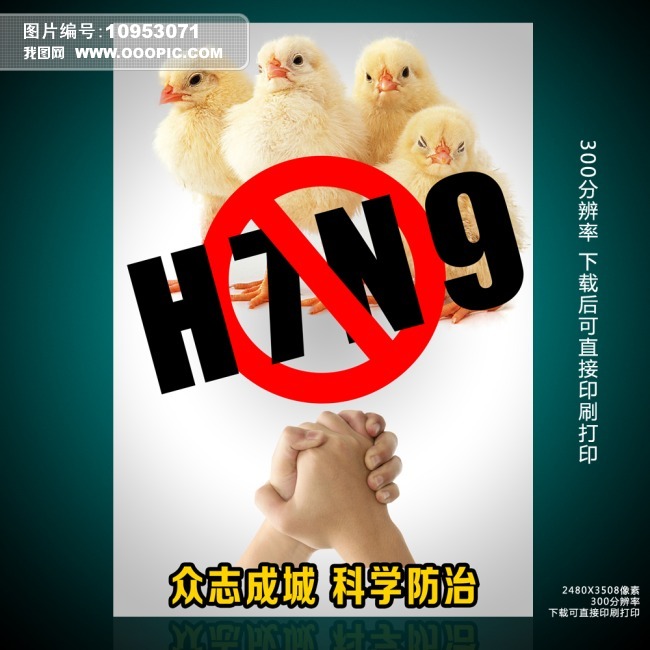 H7N9专题